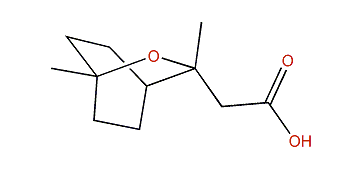 9-Cineolic acid